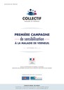 Dossier Presse Collectif Verneuil